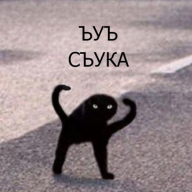 Bon_Bello