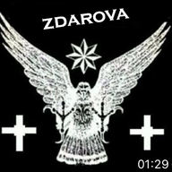 flava