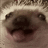 Serega_Fomkin
